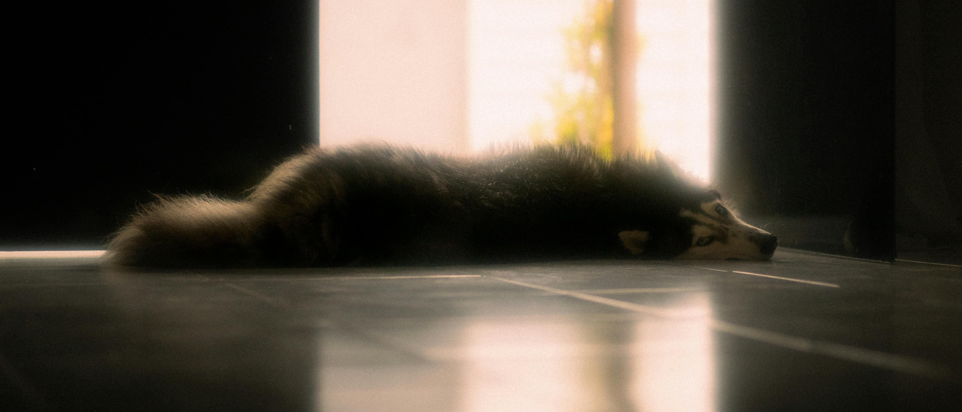 Modernes Wohnzimmer mit eleganter Einrichtung