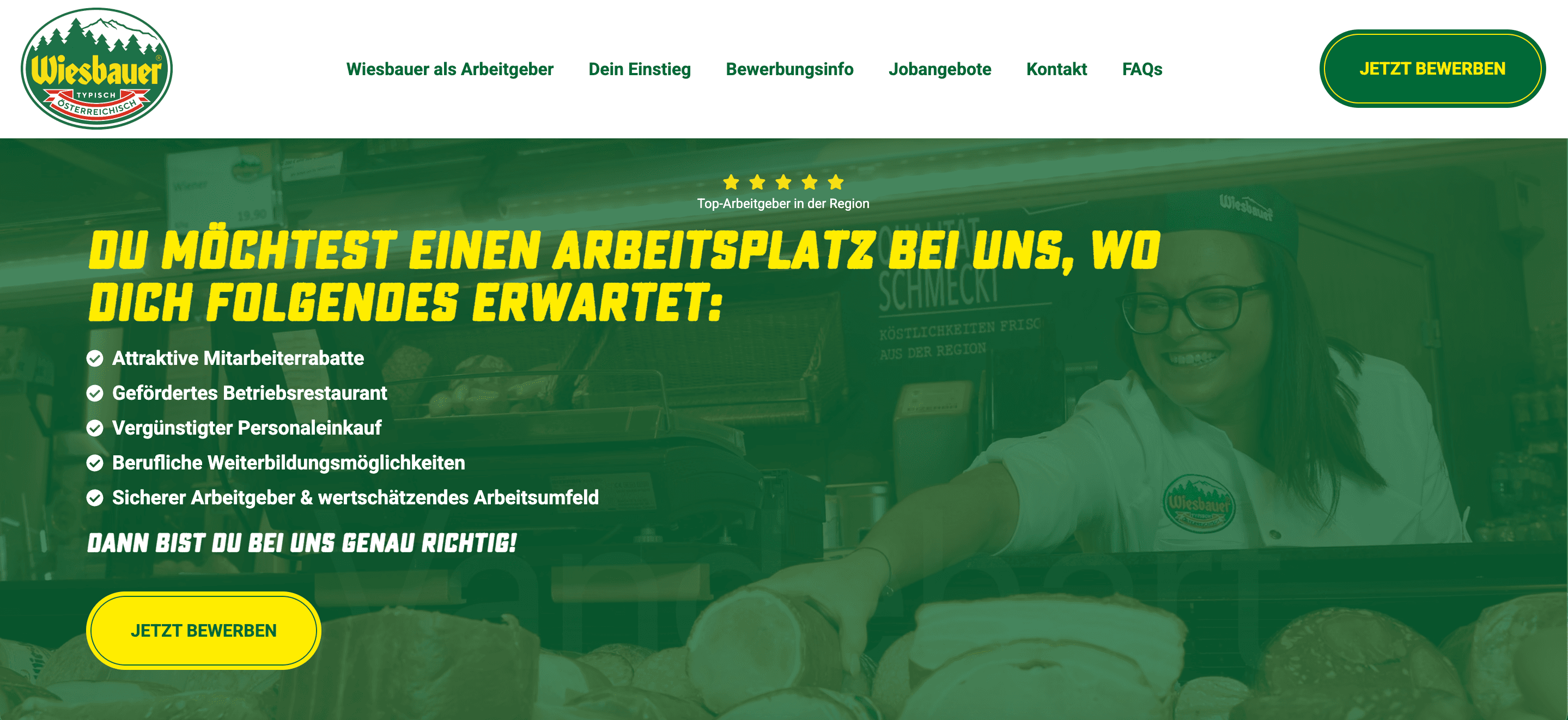 Wiesbauer Website Preview