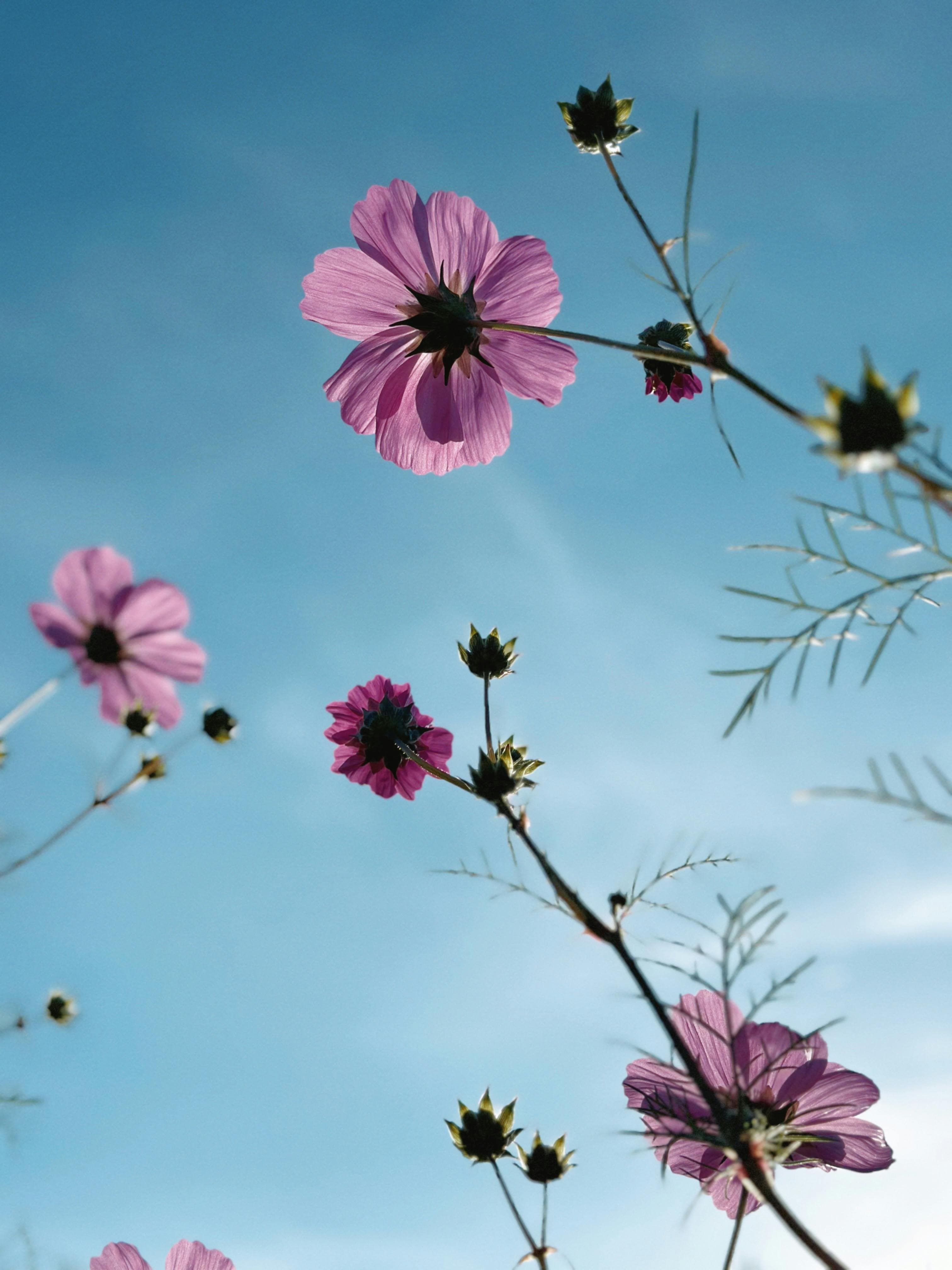 Erfolgreiches Geschäftswachstum durch digitale Präsenz